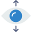 Vision
